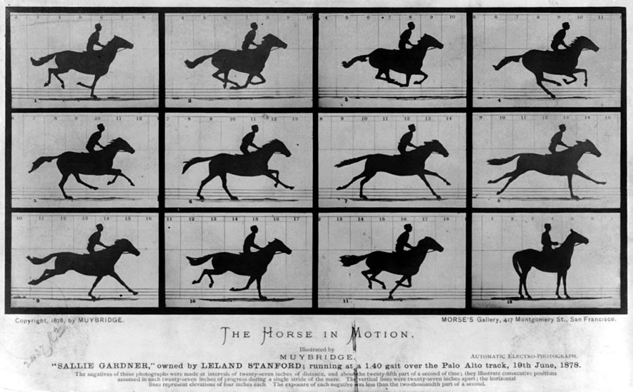 Series of images from the 1870s of a horse in motion